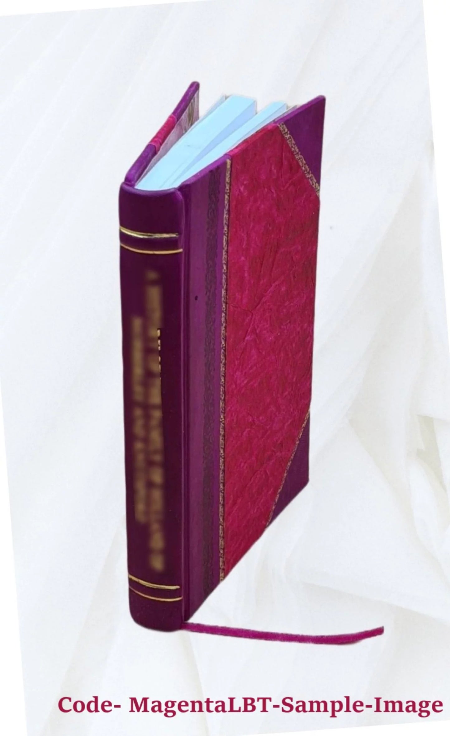 'elettorato politico dissertazione presentata da Edoardo Boglia nell'esame generale di Laurea in Giurisprudenza nel R. Ateneo di Siena 1868 [Leather Bound]